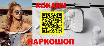шишки Можга
