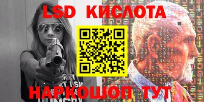 шишки Можга