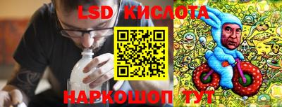 шишки Можга