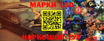шишки Можга