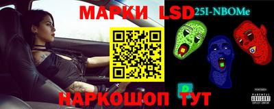 шишки Можга