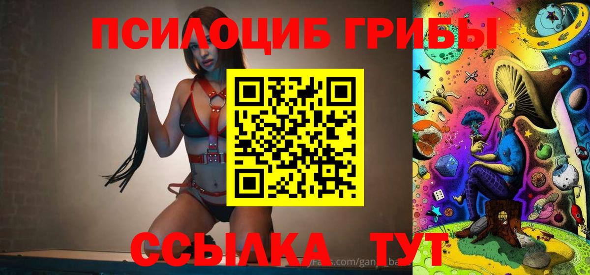 Псилоцибиновые грибы Psilocybe  Вход с VPN  Элиста 